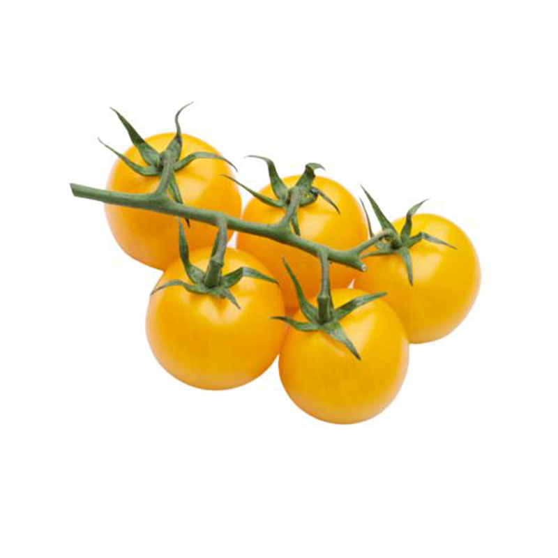 Tomate cerise jaune